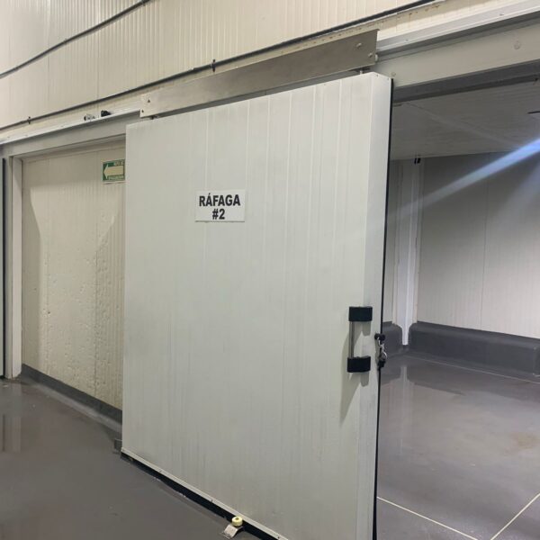 WhatsApp Image 2025-09-08 at 8.29.59 AM